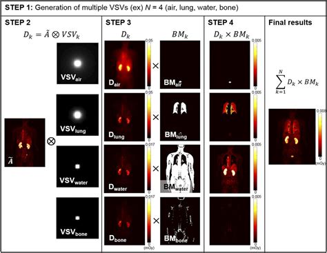 voxel dosimetry